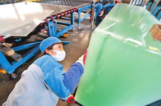 拼搏“十三五”，光伏设备产业实现“开门红”